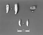 Tooth pendants