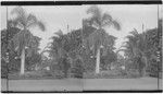 The beautiful grounds surrounding the Palace, Honolulu, Hawaiian Islands