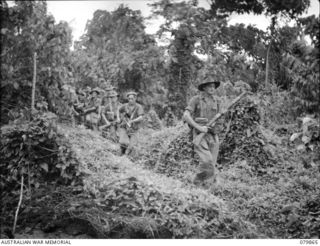 WAITAVALO AREA, WIDE BAY, NEW BRITAIN. 1945-03-16. A PATROL FROM C COMPANY, 19TH INFANTRY BATTALION MOVING THROUGH A CLEARING BEHIND WAITAVALO PLANTATION