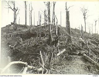 BOUGAINVILLE ISLAND. 1944-12-30. THE BATTLE SCARRED REAR SLOPES OF ARTILLERY HILL WHERE THE 9TH INFANTRY BATTALION DEFEATED THE JAPANESE DURING THEIR ATTACK IN THE AREA. AFTER CONSOLIDATING THEIR ..