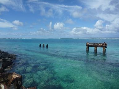 Tern Island Scene