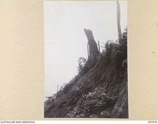 BOUGAINVILLE. 1945-09-26. ARTILLERY HILL, WHICH IS NOW OCCUPIED BY 3 DIVISION TROOPS. THE HILL SHOWS SIGNS OF DEVASTATION FROM ALLIED ATTACKS