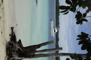 [Assignment: 48-DPA-SOI_K_Palau_6-7-9-07] Pacific Islands Tour: Visit of Secretary Dirk Kempthorne [and aides] to Palau Islands, Republic of Palau [48-DPA-SOI_K_Palau_6-7-9-07__DI12707.JPG]