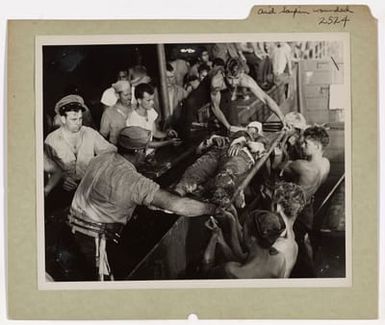 Gentle Hands Aid the Wounded at Saipan