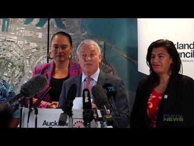 Pasifika Festival 2020 Cancelled - Phil Goff