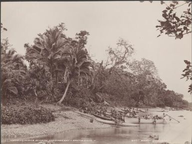 People with canoes at the landing place of Namu, Santa Cruz Islands, 1906 / J.W. Beattie