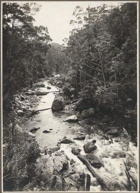 Headwaters of the Vanapa River, Papua New Guinea