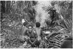 Building fire to cook pig and bake taro; note temporary leaf canopy over fire to keep off rain