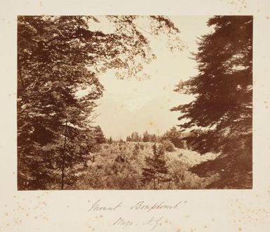 Mount Bonpland, Mazo, N.Z. From the album: Views of New Zealand Scenery/Views of England, N. America, Hawaii and N.Z.