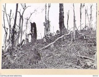 WEWAK AREA, NEW GUINEA, 1945-06-17. TROOPS OF B COMPANY, 2/8 INFANTRY BATTALION, CONSOLIDATE THEIR NEWLY CAPTURED POSITIONS ON HILL 2. NATIVE CARRIERS ARE MOVING UP WITH SUPPLIES