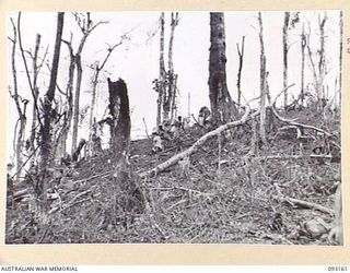 WEWAK AREA, NEW GUINEA, 1945-06-17. TROOPS OF B COMPANY, 2/8 INFANTRY BATTALION, CONSOLIDATE THEIR NEWLY CAPTURED POSITIONS ON HILL 2. NATIVE CARRIERS ARE MOVING UP WITH SUPPLIES
