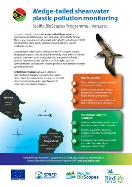 Wedge-tailed Shearwater Plastic Pollution Monitoring : Pacific BioScapes Programme - Vanuatu