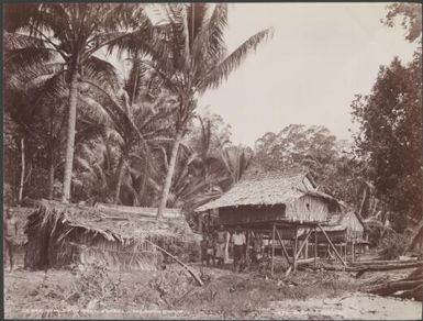 Three men and two boys in the hamlet of Regi, Ysabel, Solomon Islands, 1906 / J.W. Beattie