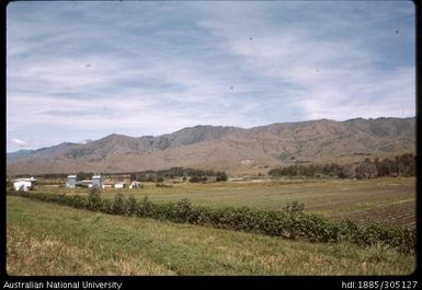 Wills' tobacco, Goroka Valley