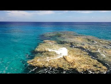 Introduction to the screening of 'Protecting Paradise: The Story of Niue' at the 4th PHRFF