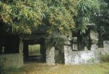 Federated States of Micronesia, abandoned WWII Japanese command post on Fefan Island in Chuuk State