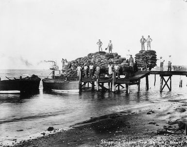 Shipping copra from Nelson's Wharf, Western Samoa