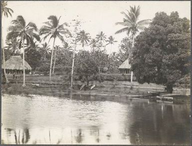 Bay with fale and palm trees. From the album: Photographs of Apia, Samoa