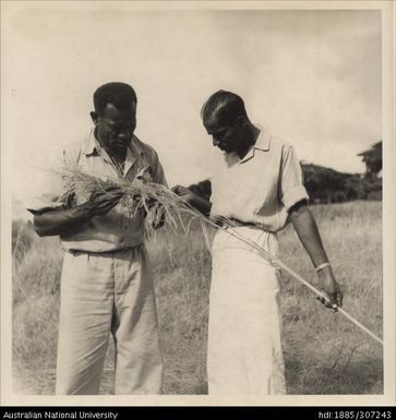 Field Assistants examine an arrow