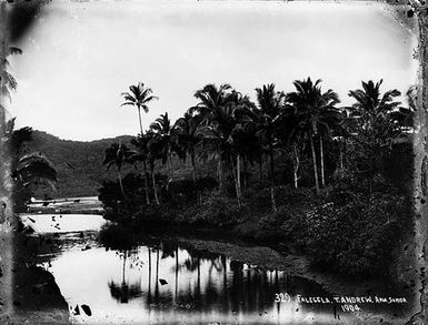 Faleseela, Savai'i Island