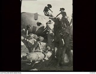 NADZAB, NEW GUINEA. C. 1944-02. FLIGHT SERGEANT F. DEBENHAM, CANTERBURY, NSW, GETS PLENTY OF ADVICE FROM THE DIVE BOMBER BOYS AS HE PAINTS A NOSE ART PICTURE OF "ADOPTED" TIVOLI GIRL PERFORMER, ..