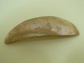 Kagylókanál