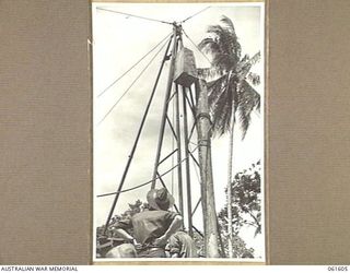 BUMI RIVER, FINSCHHAFEN AREA, NEW GUINEA. 1943-11-24. A PILE BEING HAULED INTO POSITION FOR DRIVING DURING THE CONSTRUCTION OF A BRIDGE ACROSS THE BUMI RIVER BY ENGINEERS OF THE 2/3RD AUSTRALIAN ..