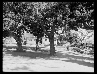 Ile Nou, New Caledonia, showing a wooden building