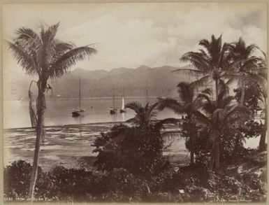 View in Suva, Fiji, approximately 1890 / Charles Kerry