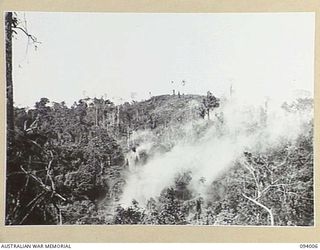 WEWAK AREA, NEW GUINEA, 1945-07-14. 2/1 FIELD REGIMENT AND 2/3 FIELD REGIMENT, FIRED 4,500 25-POUNDER SHELLS OVER A PERIOD OF 45 MINUTES. THIS WAS FOLLOWED BY 350 3-INCH MORTAR BOMBS AND 500 ROUNDS ..