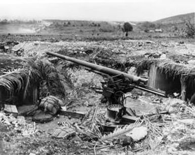 [Japanese Gun Emplacement]