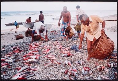 Food division, Nukunonu Atoll, Tokelau