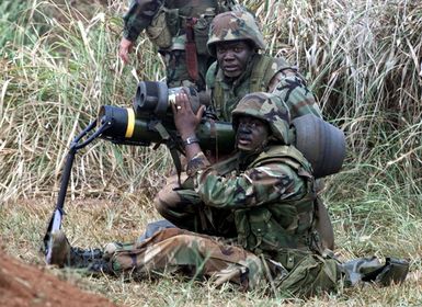 US Marine Corps Lance Corporal Spencer and Hospitalman Third Class Noah from 1ST battalion, 3rd Marines, Weapon's Company prepare to engage a target with the dragon missile launcher during a training exercise at Schofield Army Barracks, Hawaii