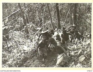 BOUGAINVILLE ISLAND. 1944-12-31. NATIVE STRETCHER BEARERS CARRYING Q22061 SERGEANT O.W. WREN, C COMPANY, 25TH INFANTRY BATTALION, DOWN A SLOPE TO THE ARTILLERY HILL REGIMENTAL AID POST DURING THE ..