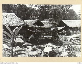 BASU RIVER VALLEY, NEW GUINEA. 1944-05-14. A SECTION OF A CHINESE FARMING VILLAGE LOCATED APPROXIMATELY 7 MILES FROM LAE ON THE BANKS OF A CREEK. THE FARM, ESTABLISHED BY CHINESE FAMILIES FROM ..