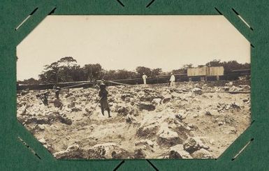 Digging a phosphate field. From the album: Banaba (Ocean Island)