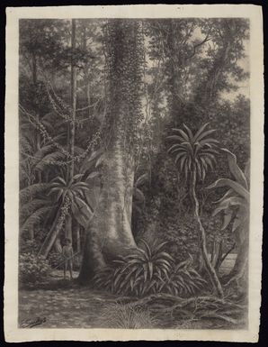 Sandys, Edward Roper Stapleton, b 1845 :Solomon Islands. [ca 1888-1889]