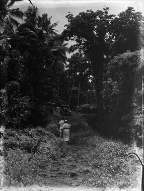 [People and cars in forest clearing]