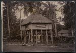Creator unknown : Photograph of a Mauahiki style of house at Ngatangiia, Rarotonga, Cook Islands