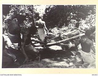 BOUGAINVILLE, 1945-05-18. NATIVE CARRIERS NEGOTIATING AN ESCARPMENT SOUTH OF HONGORAI RIVER WITH A BATTLE CASUALTY OF 57/60 BATTALION, WOUNDED IN ACTION IN THE ADVANCE ALONG THE AXIS OF COMMANDO ..