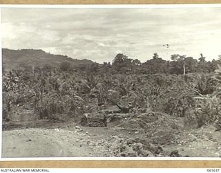 TIMBULUM PLANTATION, NEW GUINEA. 1943-12-11. A GUN POSITION APPROXIMATELY 1500 YARDS SOUTH OF KALAMGUANG POINT ON THE FRINGE OF TIMBULUM PLANTATION