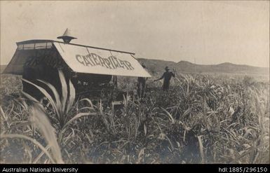 Holt tractor, Lautoka