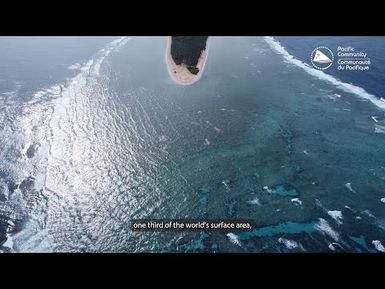 Research Vessel project “PASIFIKA”, a science platform for the world’s largest ocean