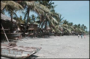 The beach on the lagoon side : Mortlock Islands, Papua New Guinea, 1960 / Terence and Margaret Spencer