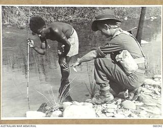 DUMPU, NEW GUINEA. 1943-11-05. VX37164 STAFF SERGEANT R. L. PRYCE OF EAST HILLS, NSW, AND OF THE 2/6TH AUSTRALIAN FIELD AMBULANCE, WATCHING A NATIVE TRYING TO SPEAR A FISH IN A CREEK