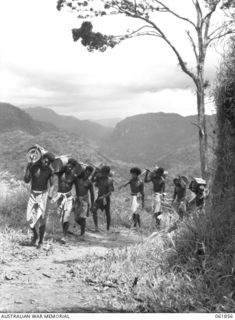 UBERI, NEW GUINEA. 1943-12-19. NATIVE CARRIERS TAKING SUPPLIES TO THE "FRONT LINE" ON THE KOKODA TRAIL IN THE OWEN STANLEY RANGES DURING THE FILMING OF SEQUENCES FOR THE PRODUCTION, "RATS OF ..