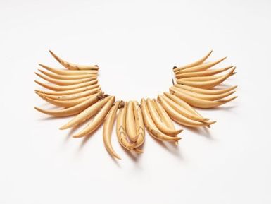 Wasekaseka (sperm whale tooth necklace)