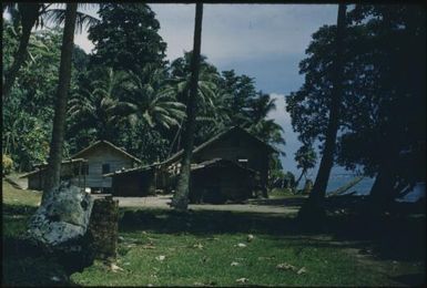 Houses (3) : Buka Island, Bougainville, Papua New Guinea, 1960 / Terence and Margaret Spencer