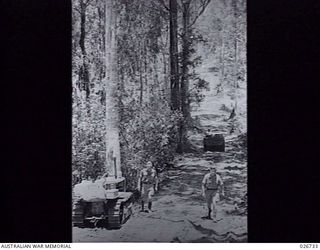 PAPUA. 1942-09. SECTION OF THE ROAD CONSTRUCTED BY SAPPERS OF THE ROYAL AUSTRALIAN ENGINEERS THROUGH DENSE JUNGLE IN THE OWEN STANLEY RANGE. OVER SOME SECTIONS THE SURFACE IS SO TREACHEROUS THROUGH ..