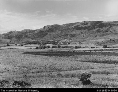 Rarawai Mill, Koronubu valley